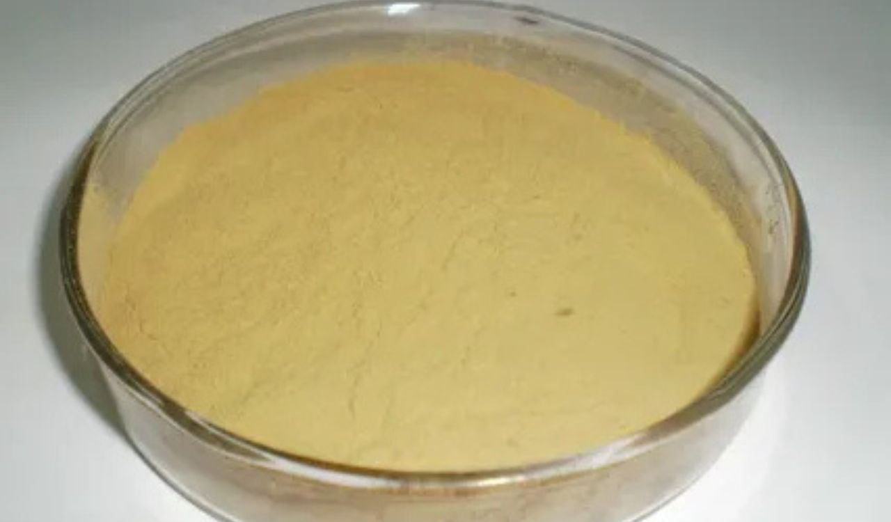 Calcium vs Sodium Lignosulfonate